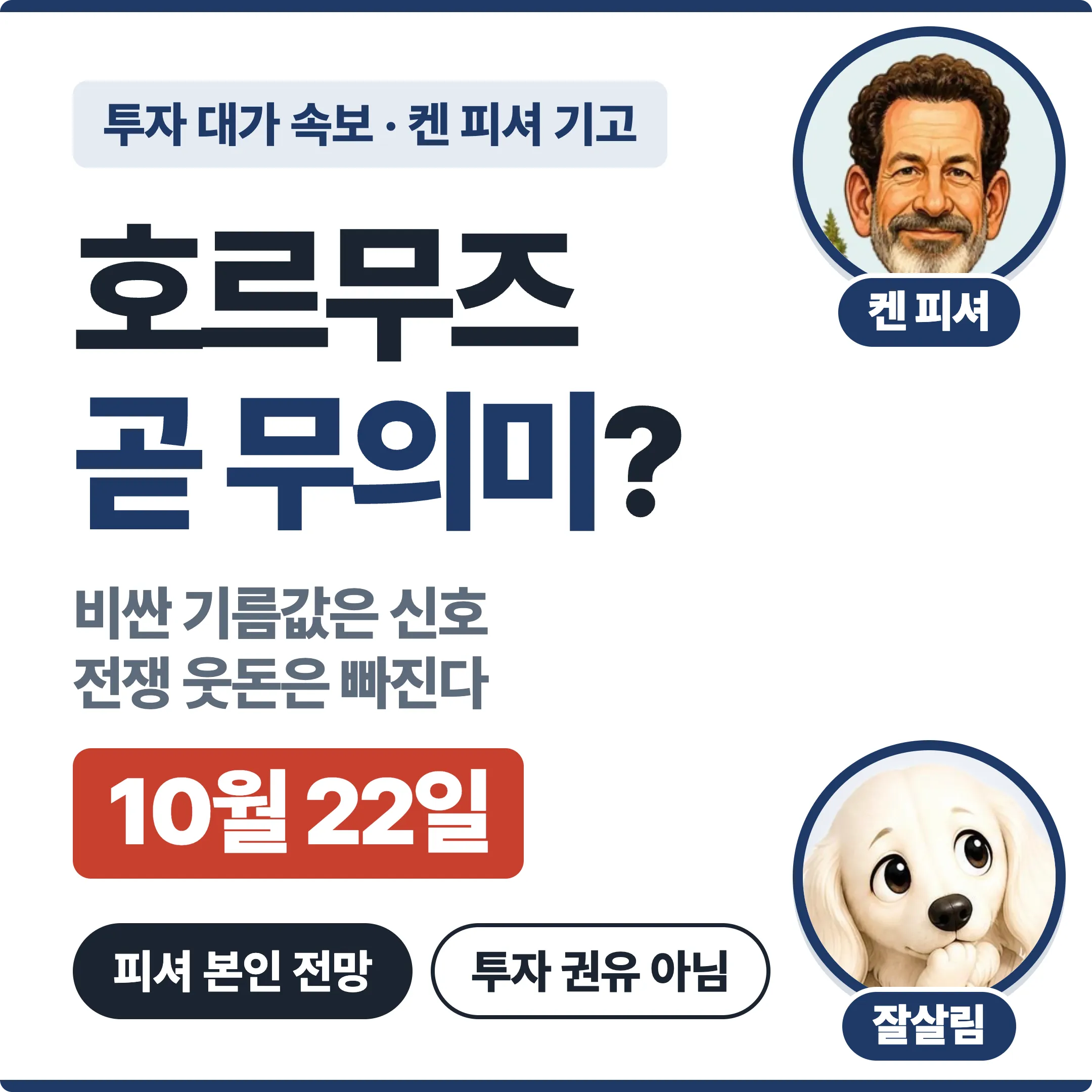 켄 피셔 호르무즈 곧 무의미 대표 이미지