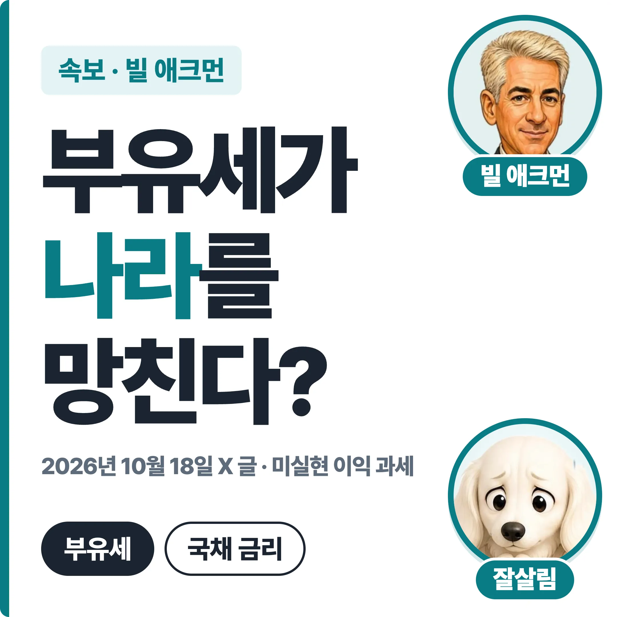 빌 애크먼 부유세가 나라를 망친다? 대표 이미지