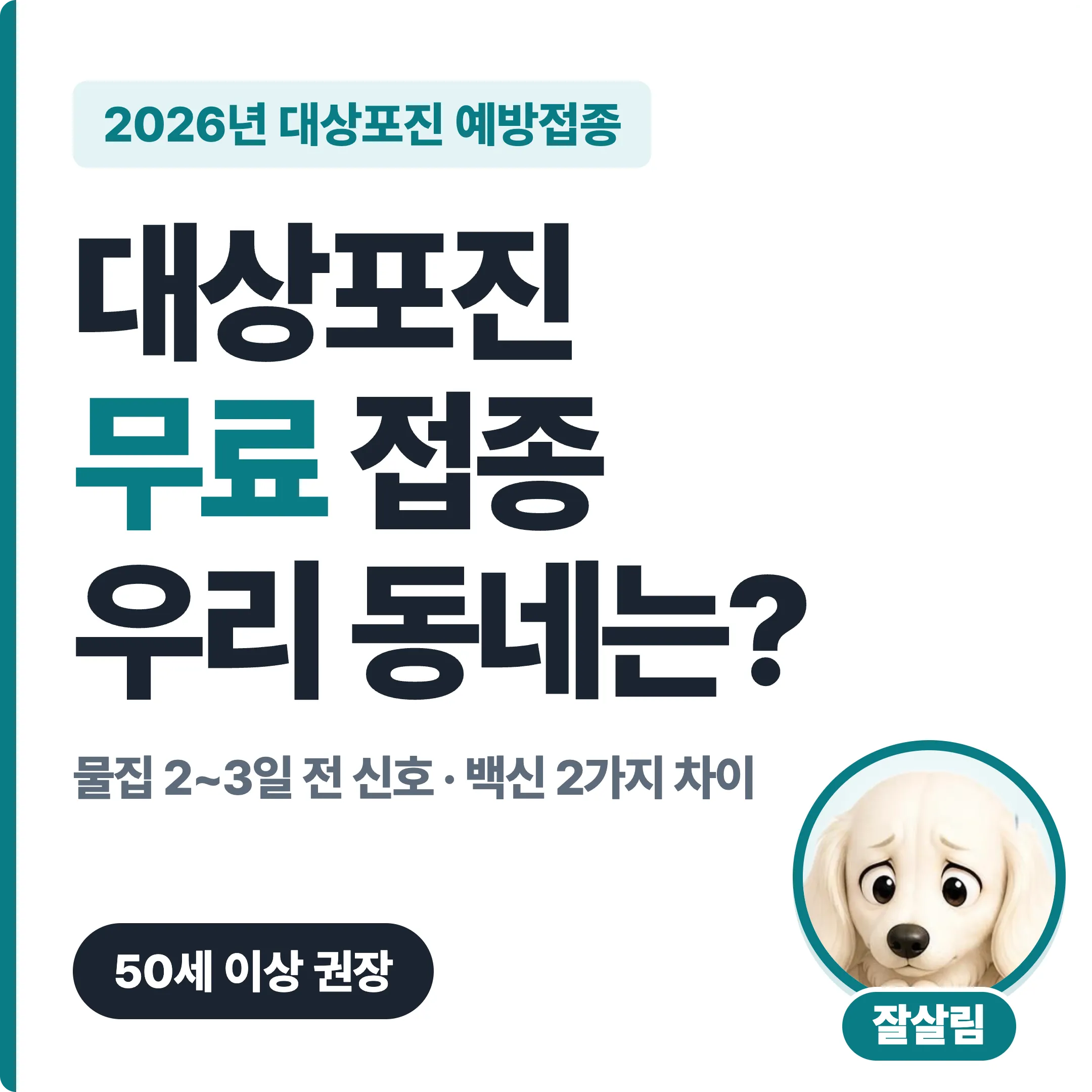 대상포진 무료 접종 우리 동네는? 물집 2~3일 전 신호와 백신 2가지 차이 대표 이미지