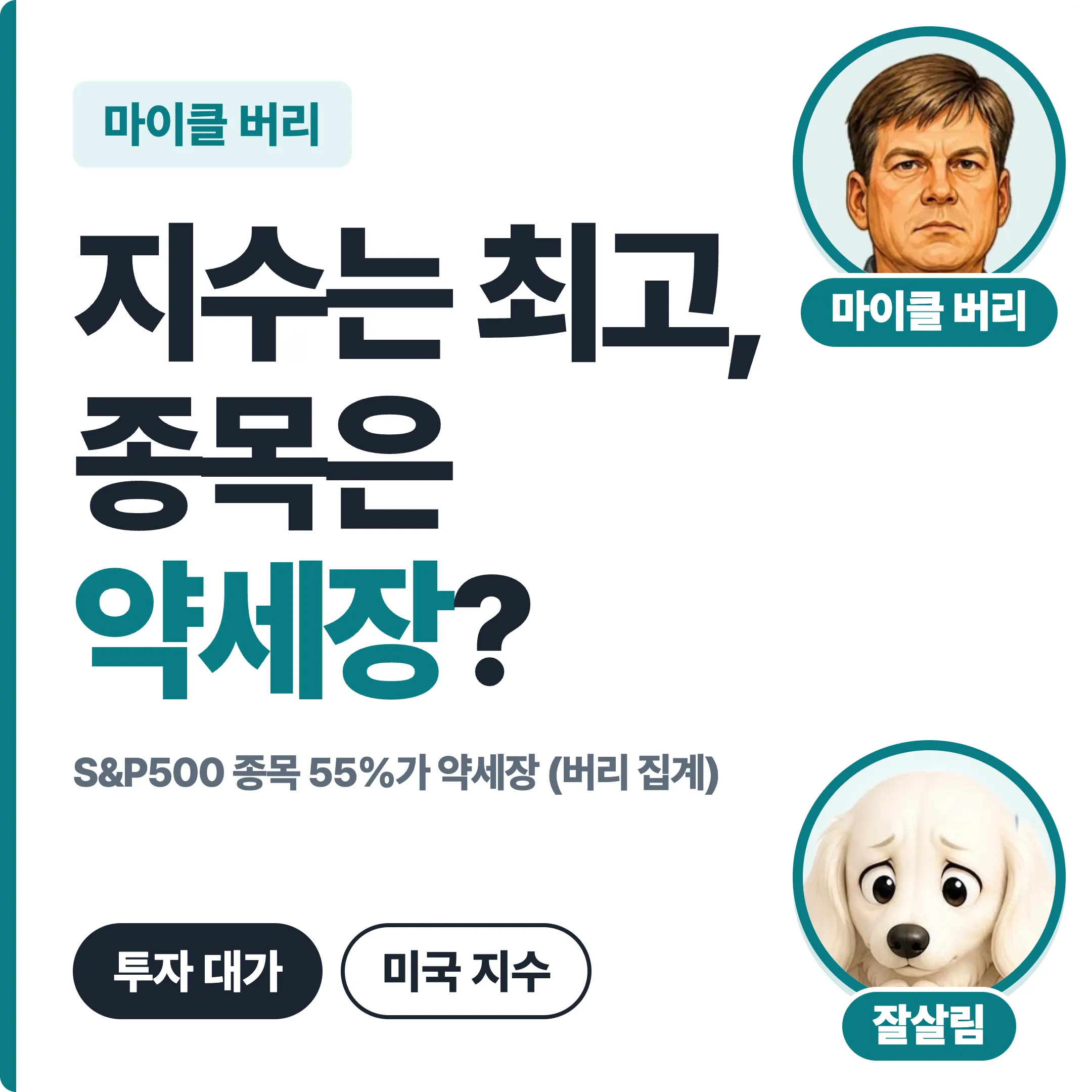 마이클 버리 지수는 최고 종목은 약세장 대표 이미지