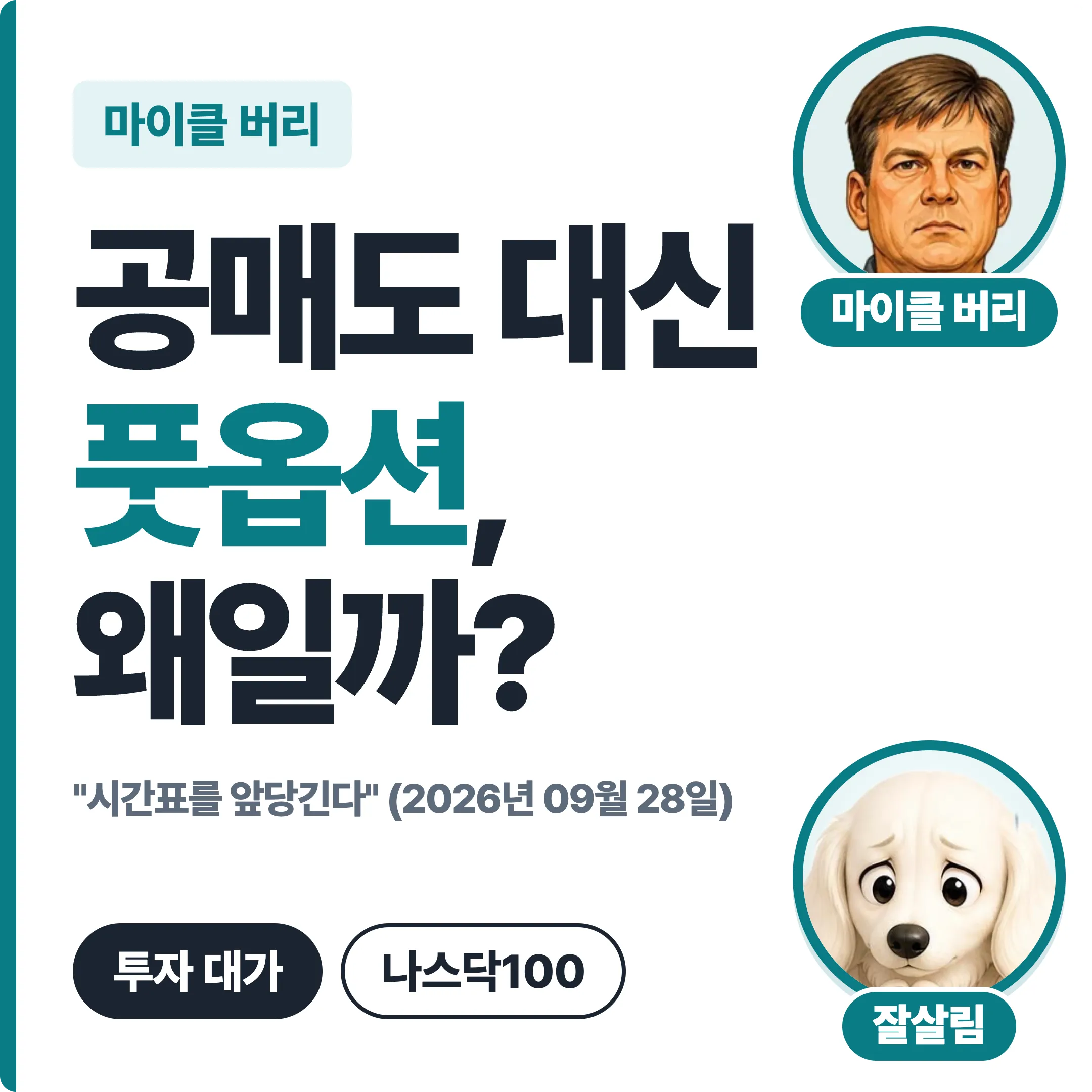 마이클 버리 공매도 대신 풋옵션 왜일까 대표 이미지