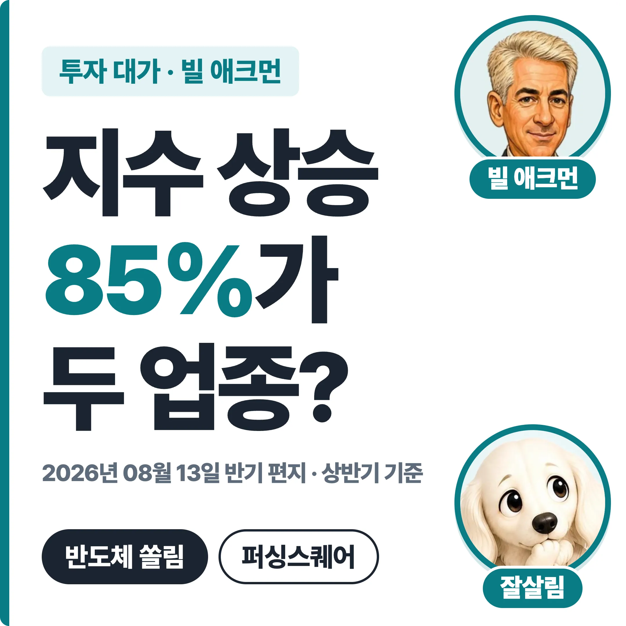 빌 애크먼 지수 상승 85%가 두 업종? 대표 이미지