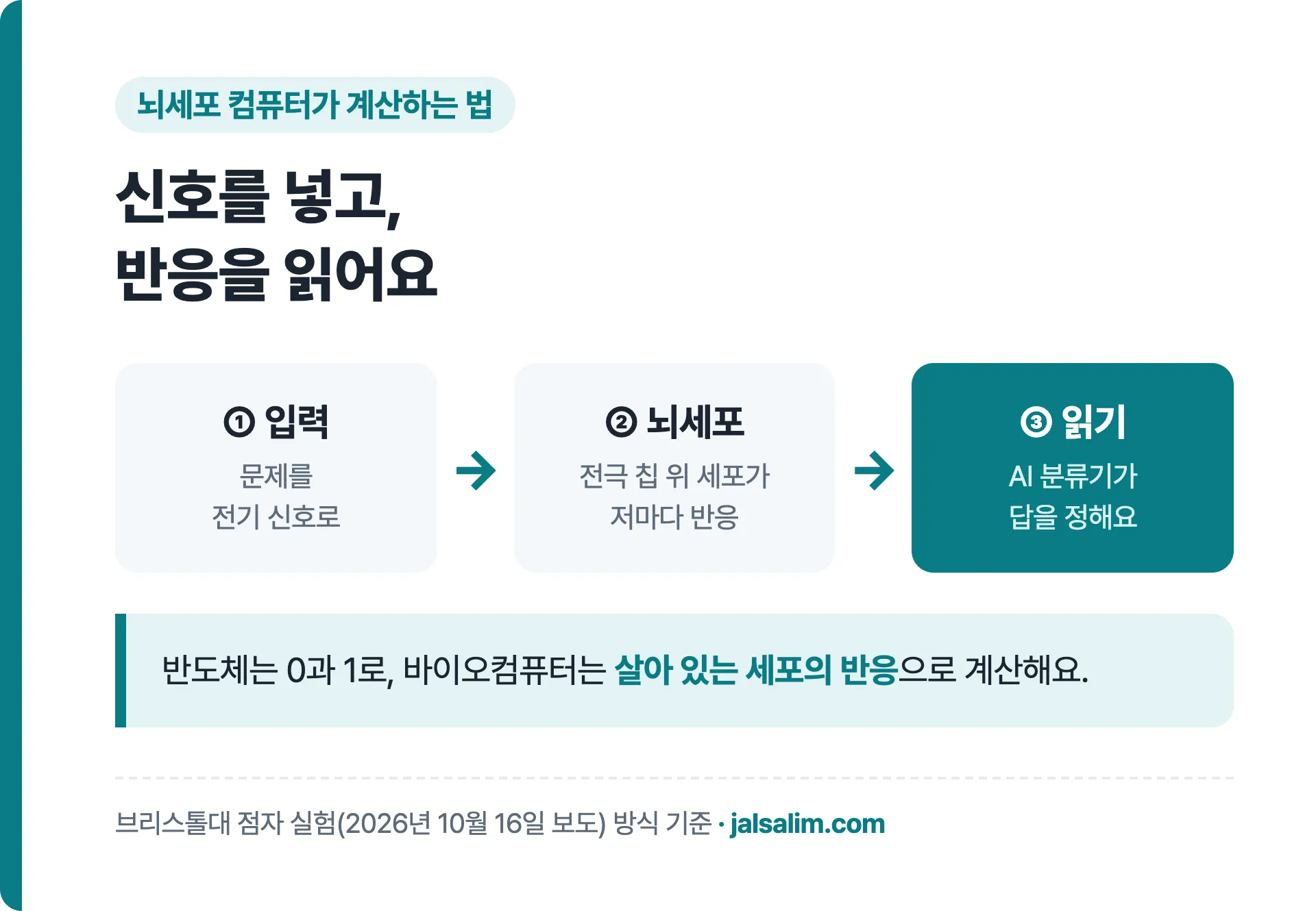 뇌세포 컴퓨터가 계산하는 3단계 입력 전기 자극 뇌세포 반응 컴퓨터가 읽기