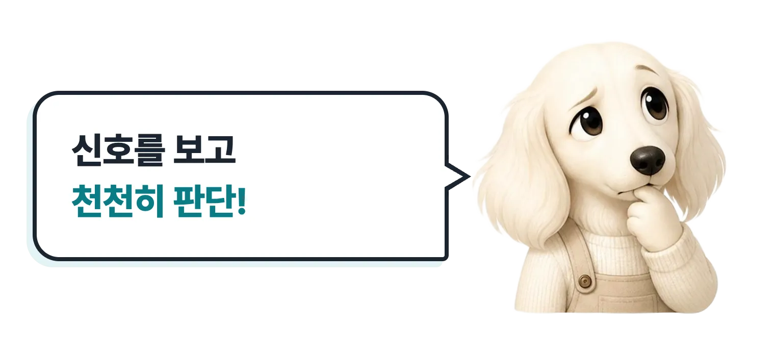 생각하는 닥스훈트 캐릭터: 신호를 보고 천천히 판단!