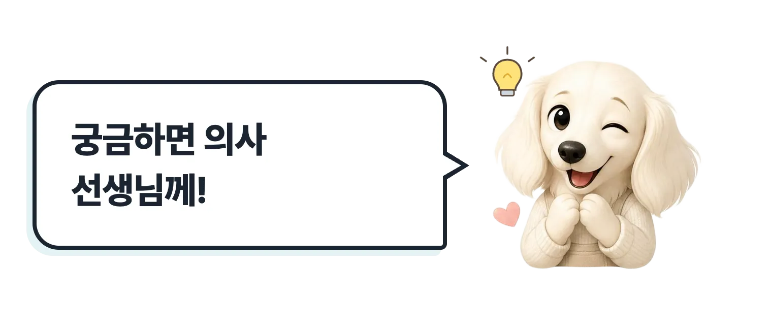 윙크하는 닥스훈트 캐릭터: 궁금하면 의사 선생님께!