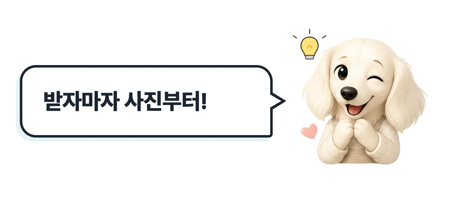 윙크하는 닥스훈트 캐릭터: 받자마자 사진부터!