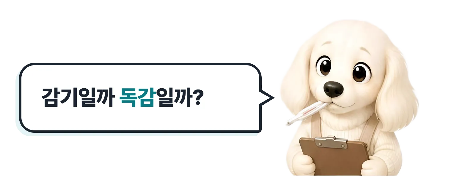 체온계를 문 검진 닥스훈트 캐릭터: 감기일까 독감일까?