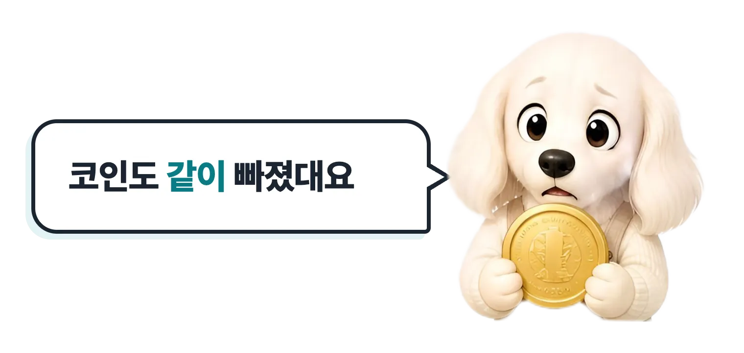 동전을 꼭 안은 설기: 코인도 같이 빠졌대요