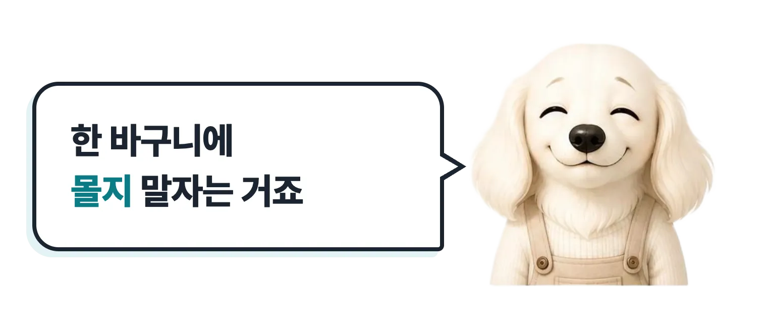 눈 감고 미소 짓는 설기: 한 바구니에 몰지 말자는 거죠