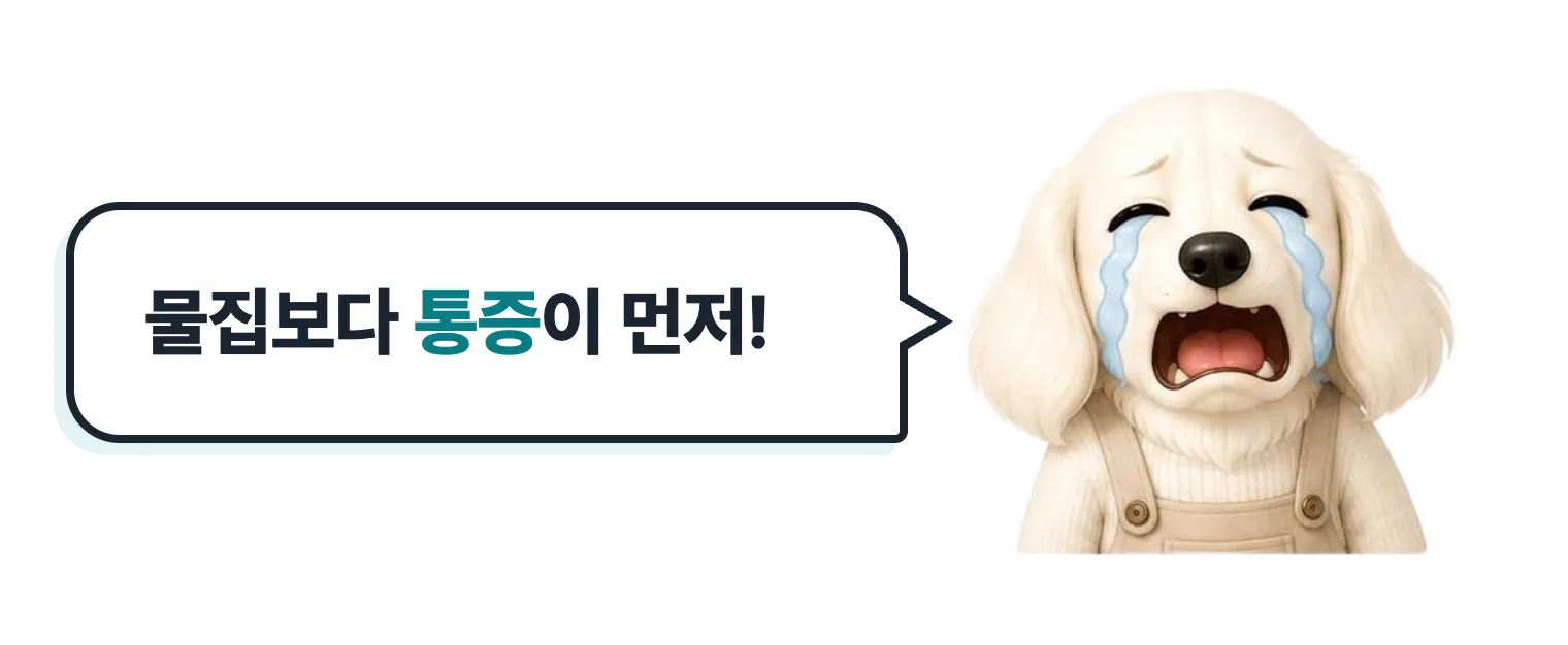 물집보다 통증이 먼저라며 우는 설기