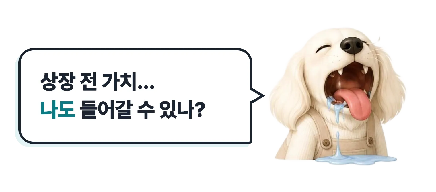 침 흘리는 닥스훈트 캐릭터: 상장 전 가치… 나도 들어갈 수 있나?
