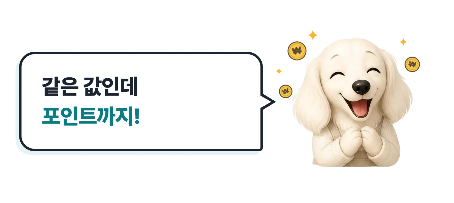 돈 버는 기분의 닥스훈트 캐릭터: 같은 값인데 포인트까지!