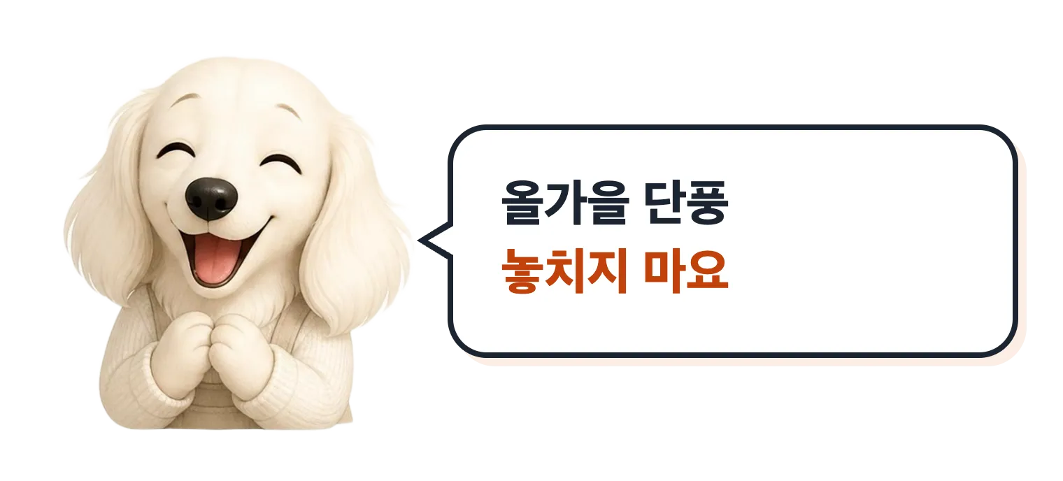 웃는 닥스훈트 캐릭터: 올가을 단풍 놓치지 마요