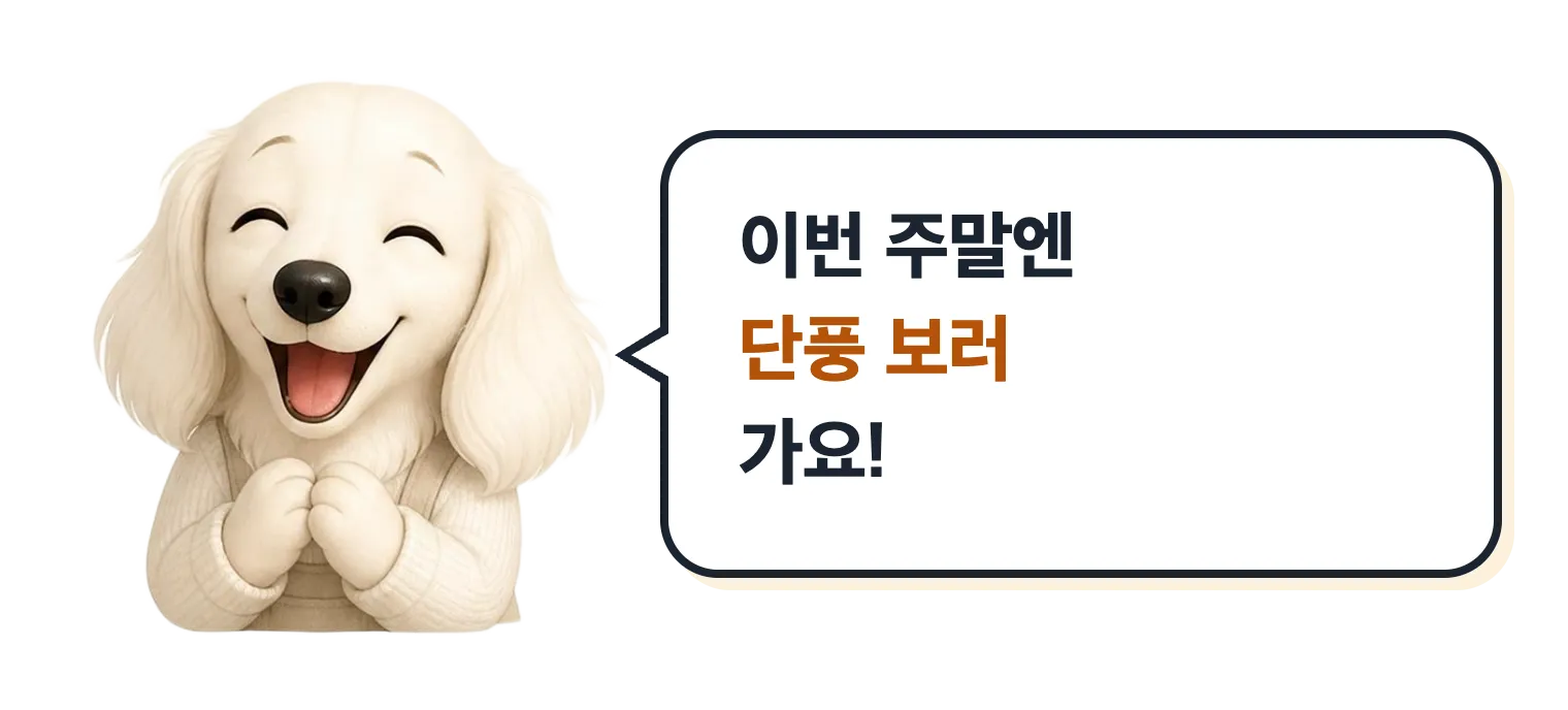신난 닥스훈트 캐릭터: 이번 주말엔 단풍 보러 가요
