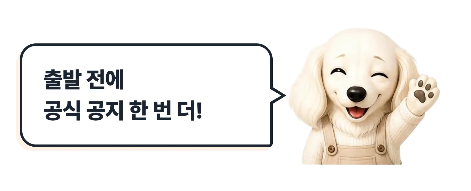 윙크하는 설기: 출발 전에 공식 공지 한 번 더