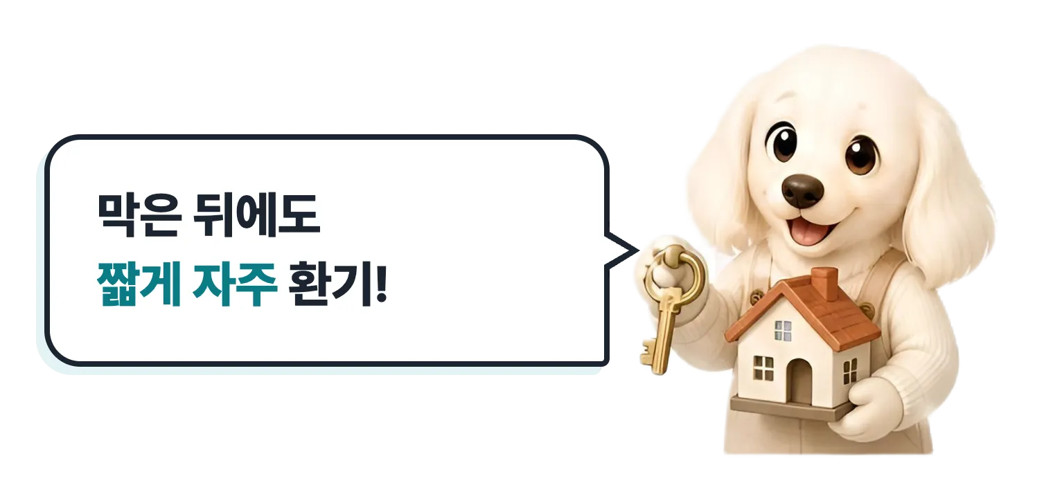 막은 뒤에도 짧게 자주 환기, 집 앞의 닥스훈트 캐릭터