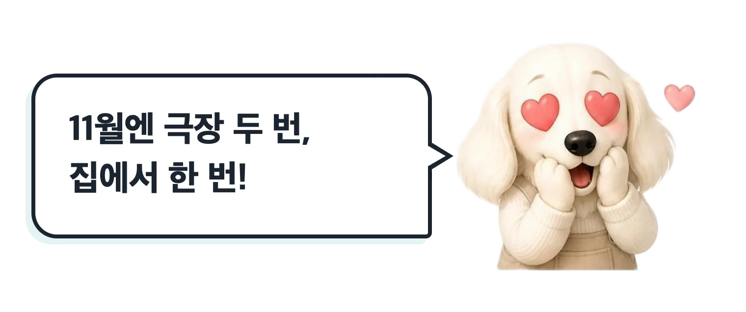신난 설기, 11월엔 극장 두 번, 집에서 한 번