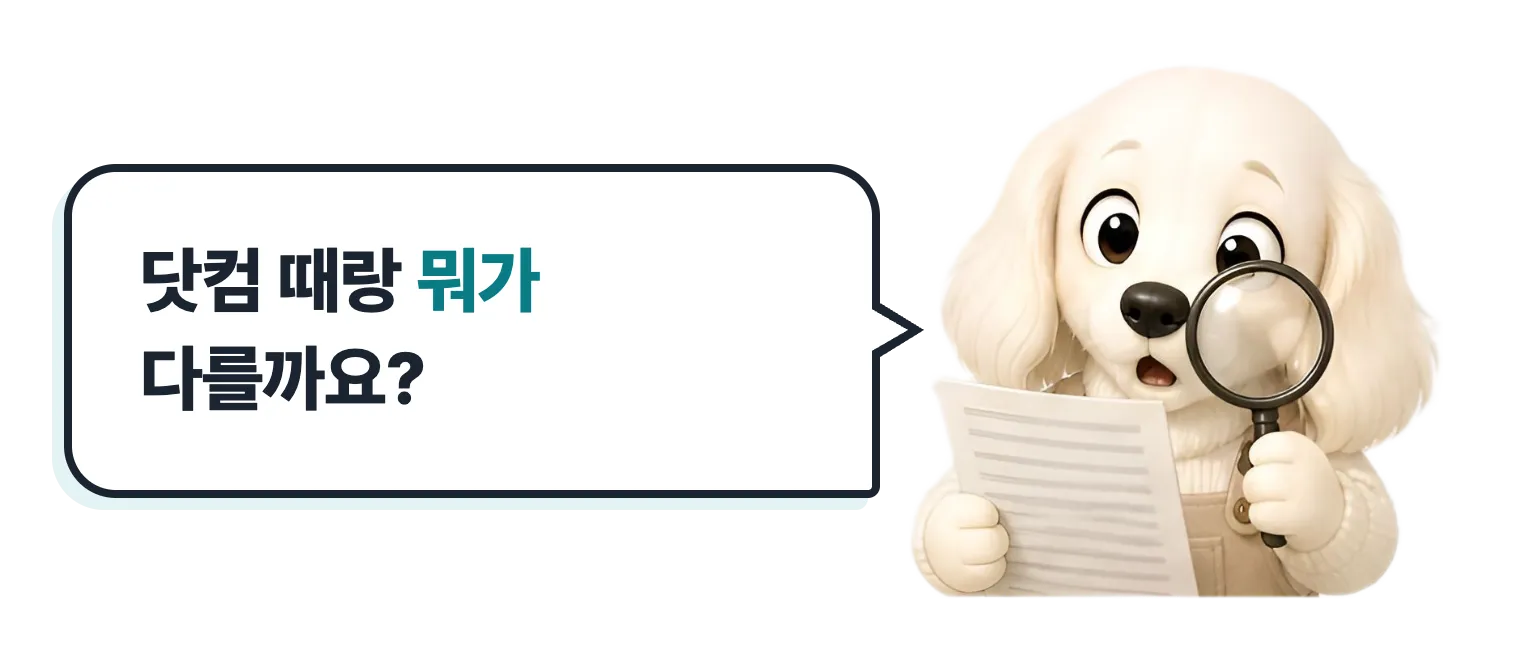 돋보기로 서류를 보는 설기: 닷컴 때랑 뭐가 다를까요?