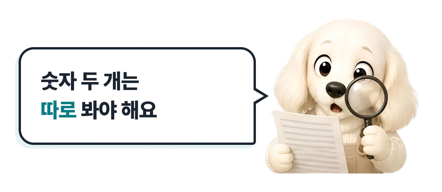 돋보기 든 설기: 숫자 두 개는 따로 봐야 해요