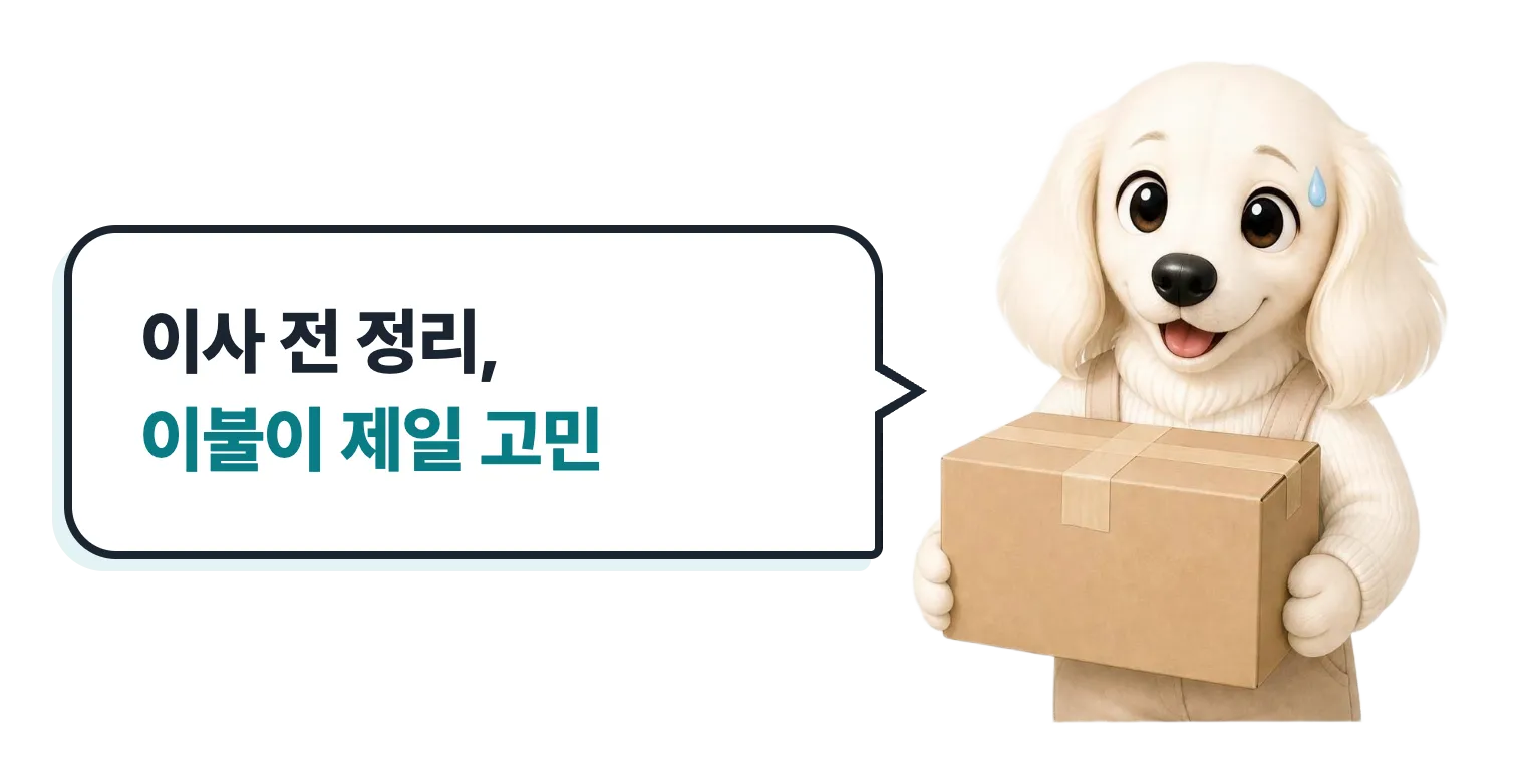 상자를 든 닥스훈트 캐릭터: 이사 전 정리, 이불이 제일 고민