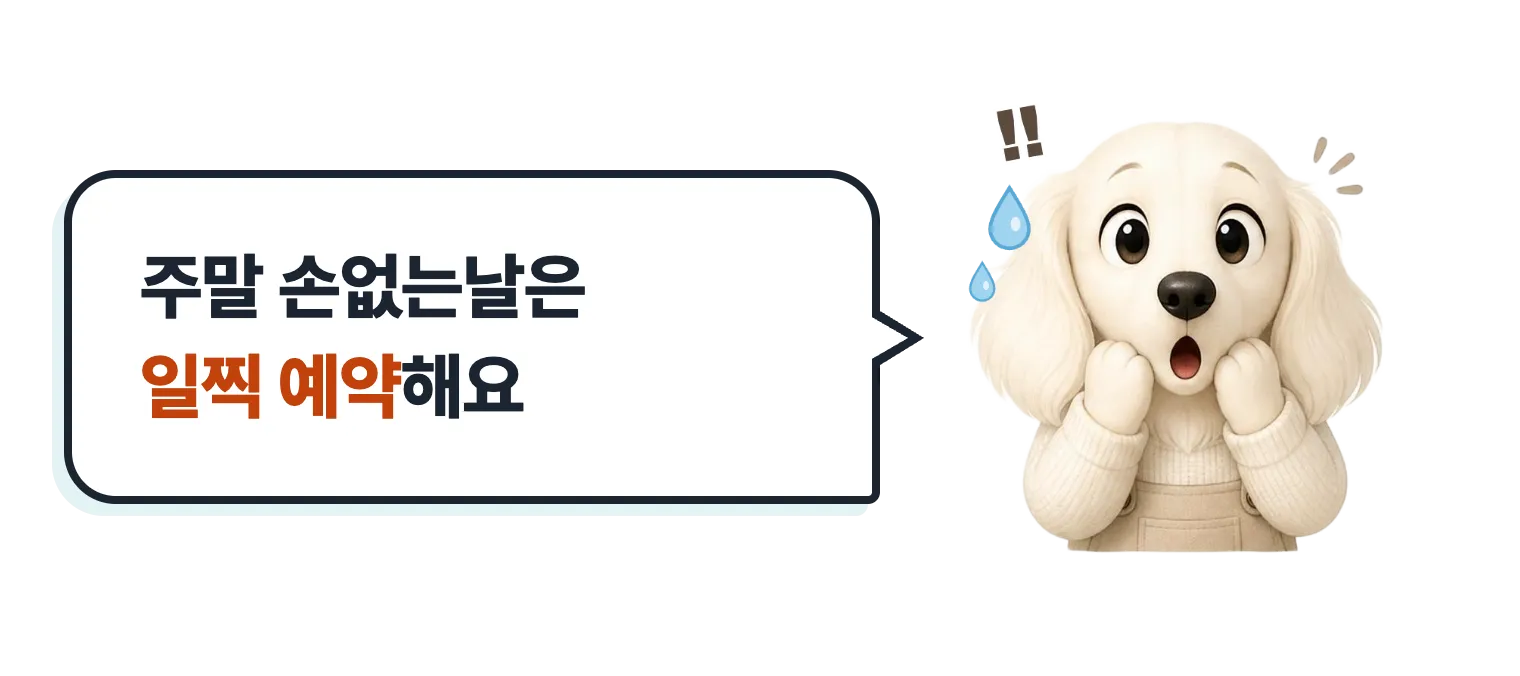 놀란 닥스훈트 캐릭터: 주말 손없는날은 일찍 예약해요