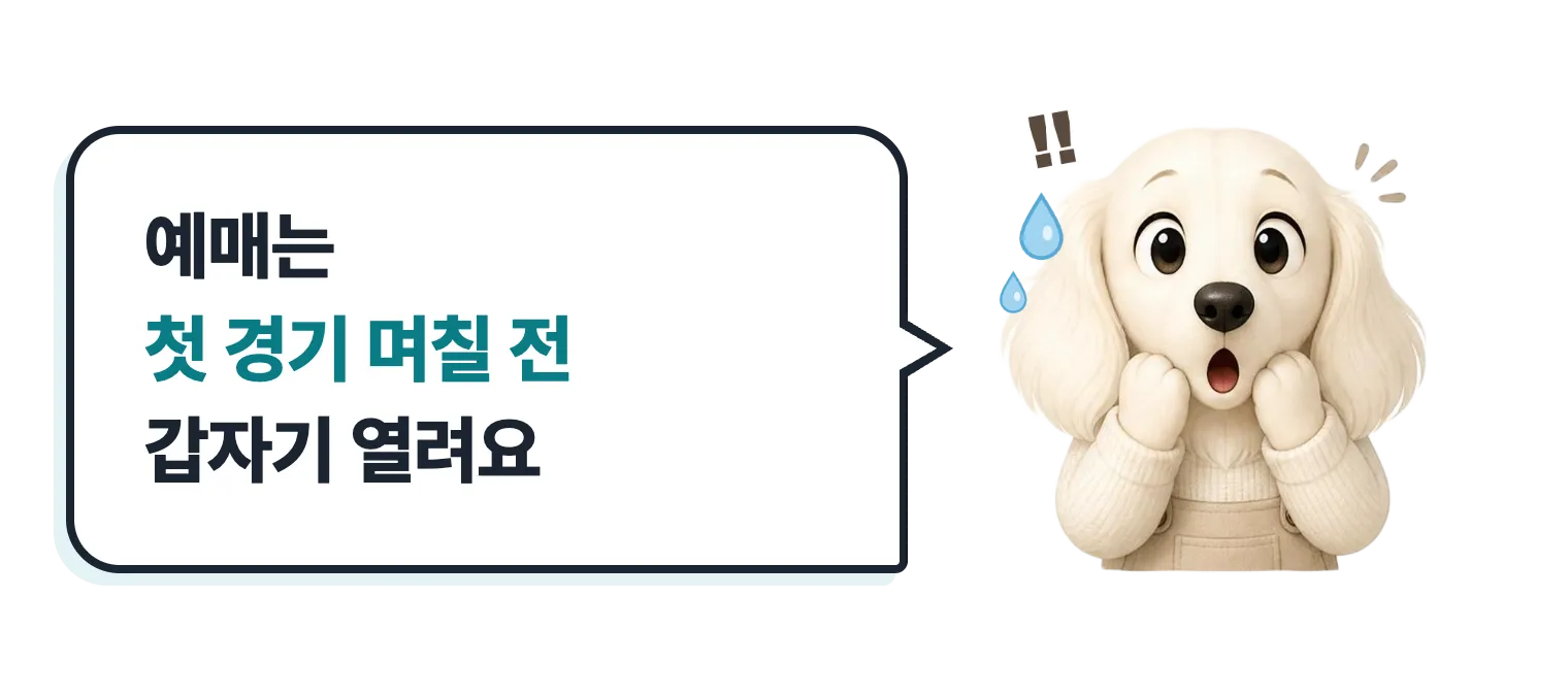 땀 흘리며 놀란 닥스훈트 캐릭터: 예매는 첫 경기 며칠 전 갑자기 열려요