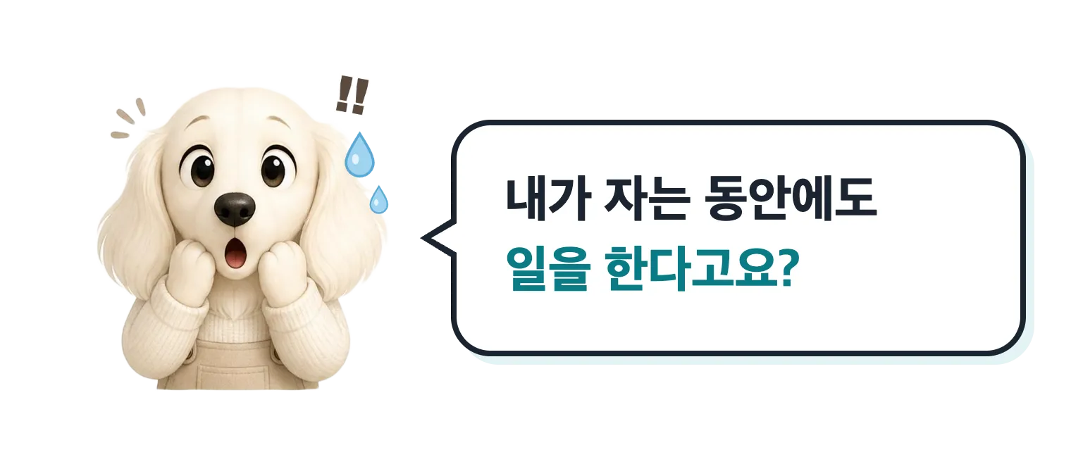 놀란 닥스훈트 캐릭터: 내가 자는 동안에도 일을 한다고요?