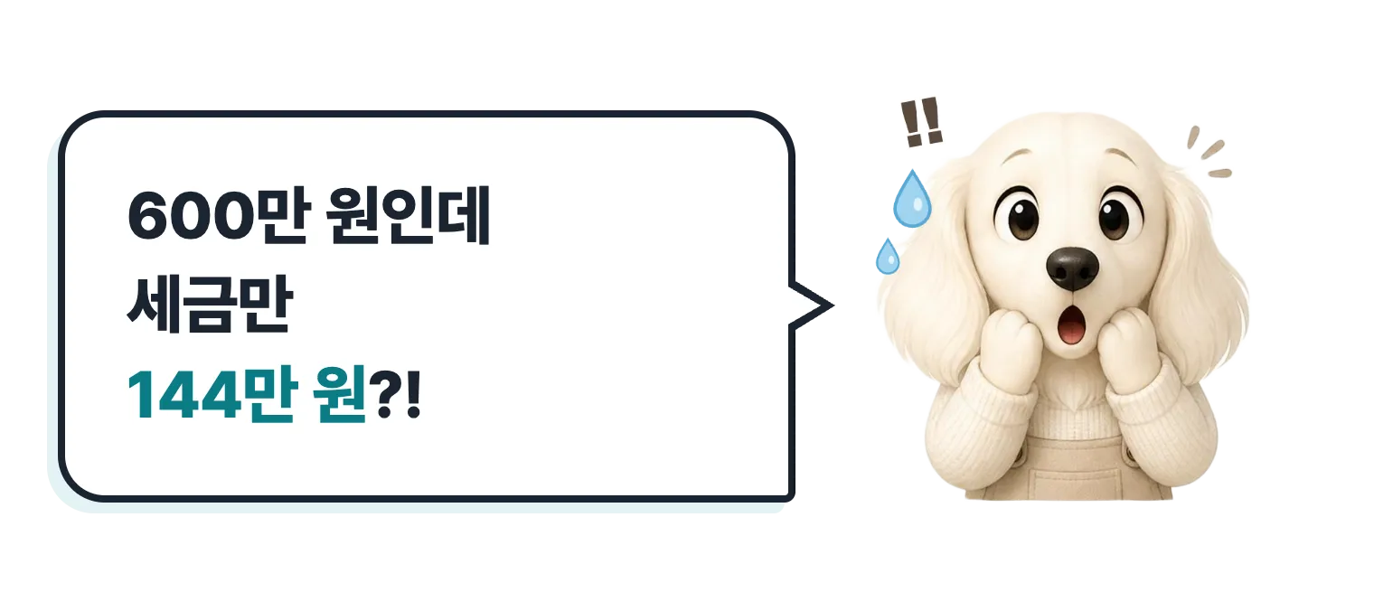 놀란 닥스훈트 캐릭터: 600만 원인데 세금만 144만 원?!