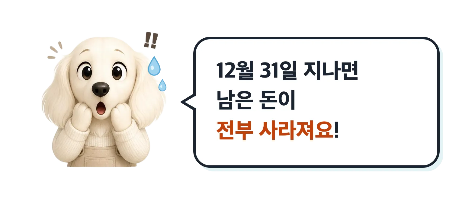 놀란 닥스훈트 캐릭터: 12월 31일 지나면 남은 돈이 전부 사라져요