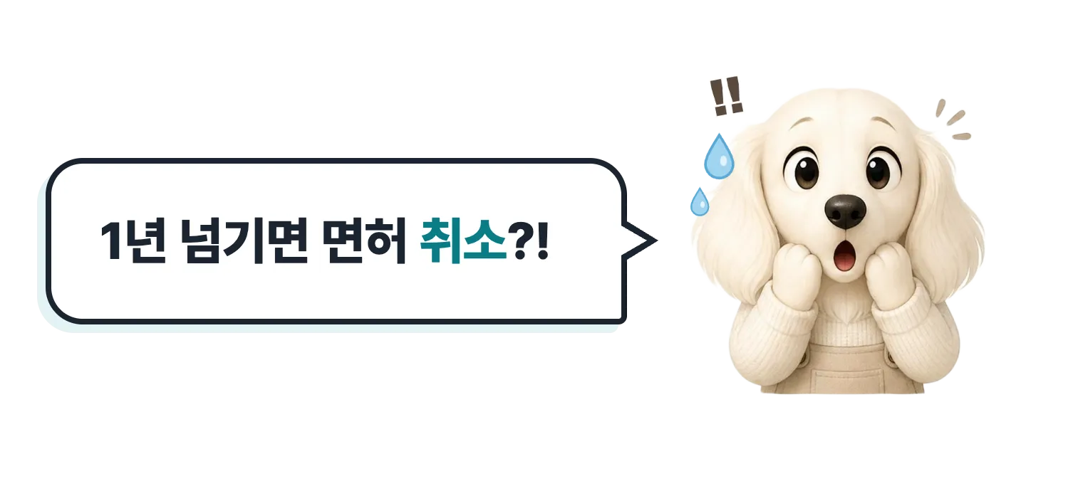 놀란 닥스훈트 캐릭터: 1년 넘기면 면허 취소?!