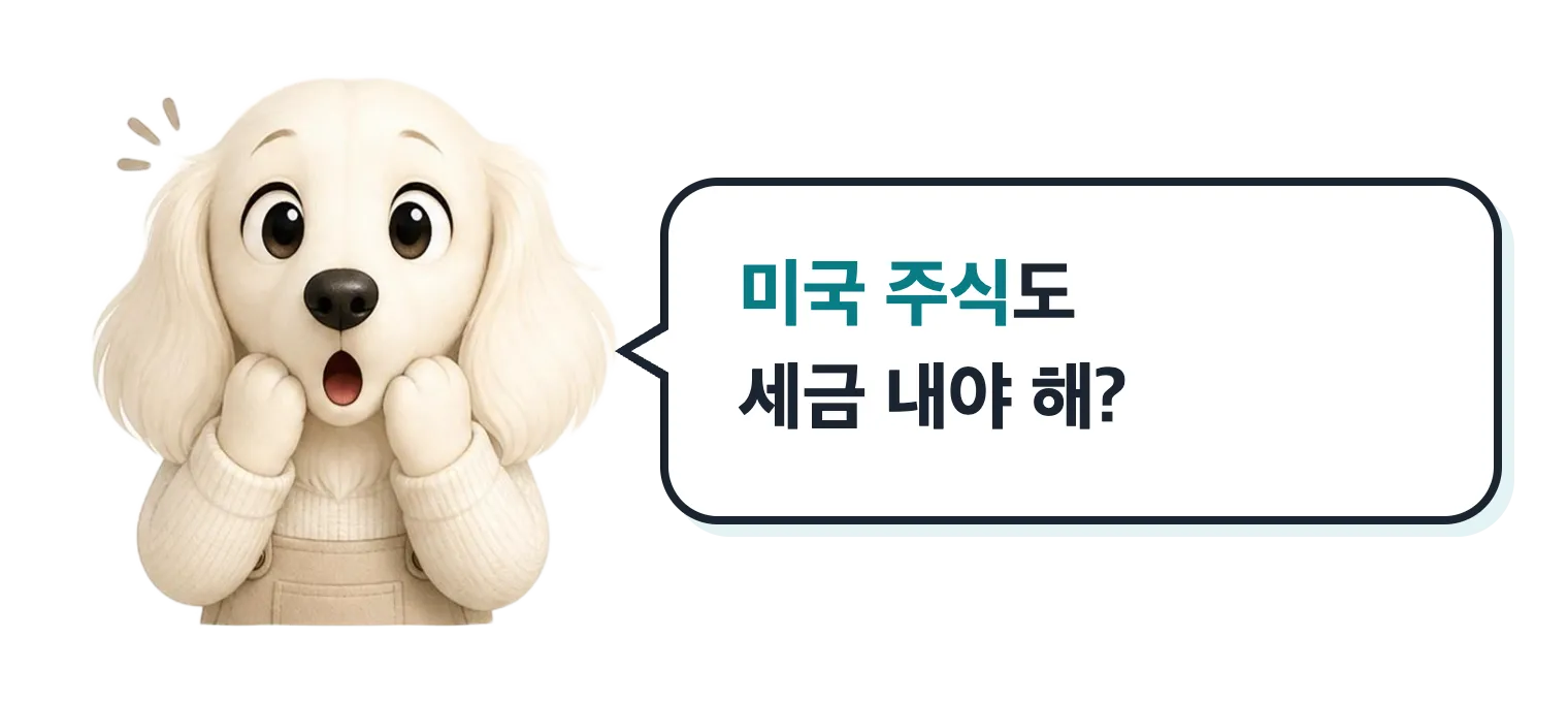 놀란 닥스훈트 캐릭터 설기: 미국 주식도 세금 내야 해?