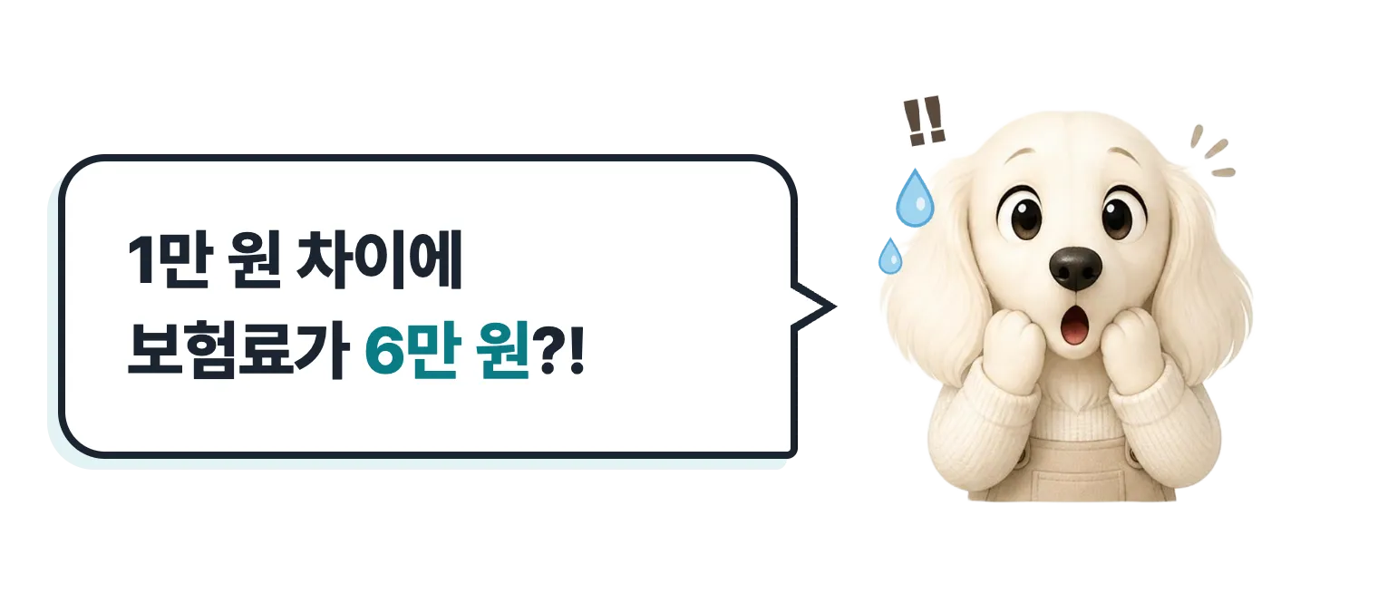놀란 설기, 1만 원 차이에 보험료가 6만 원?