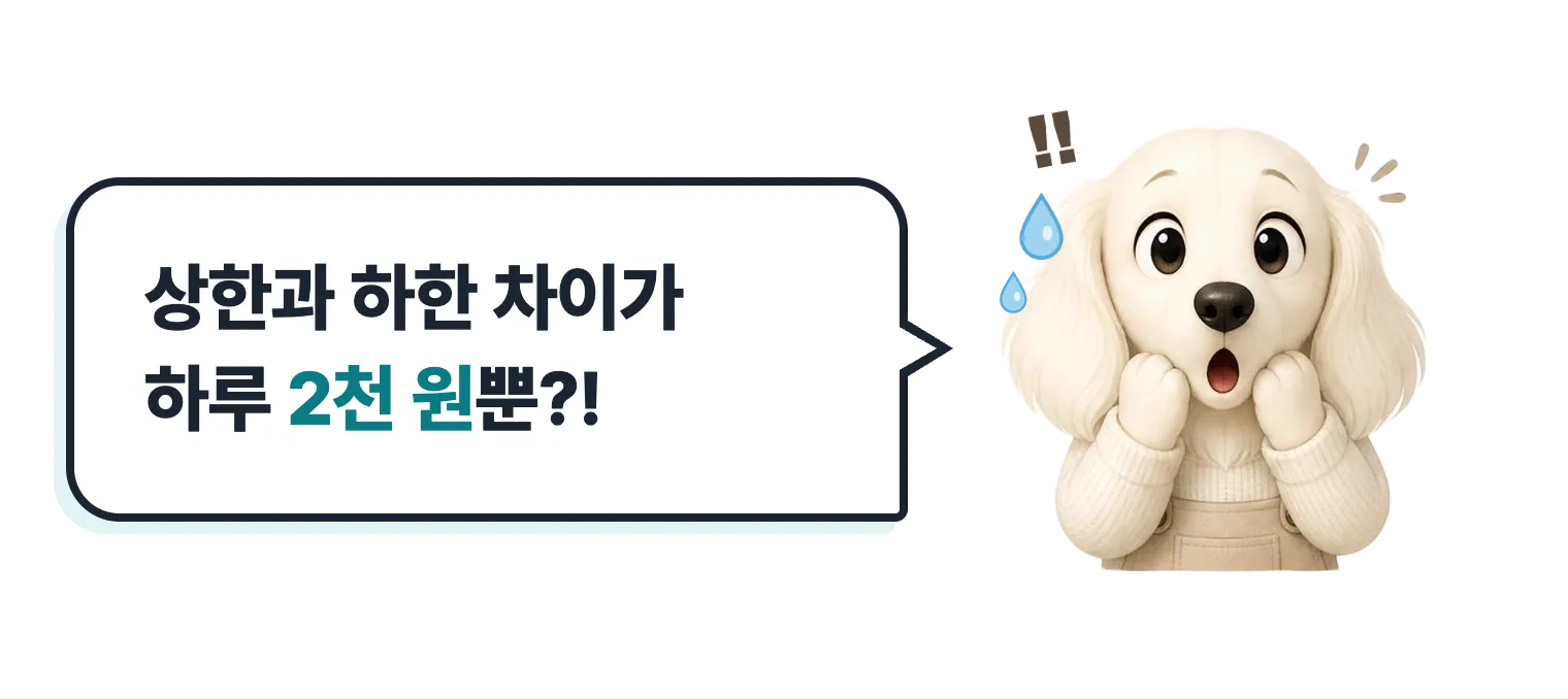 놀란 닥스훈트 캐릭터 설기: 상한과 하한 차이가 하루 2천 원뿐?