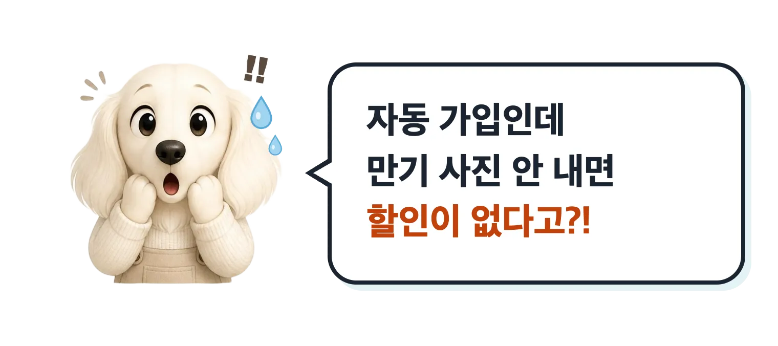 놀란 닥스훈트 캐릭터: 자동 가입인데 만기 사진 안 내면 할인이 없다고?
