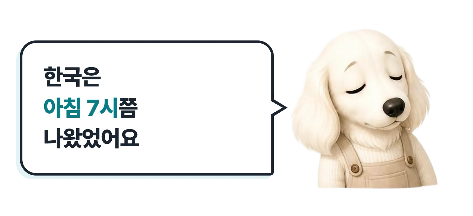 졸린 닥스훈트 캐릭터: 한국은 아침 7시쯤 나왔었어요