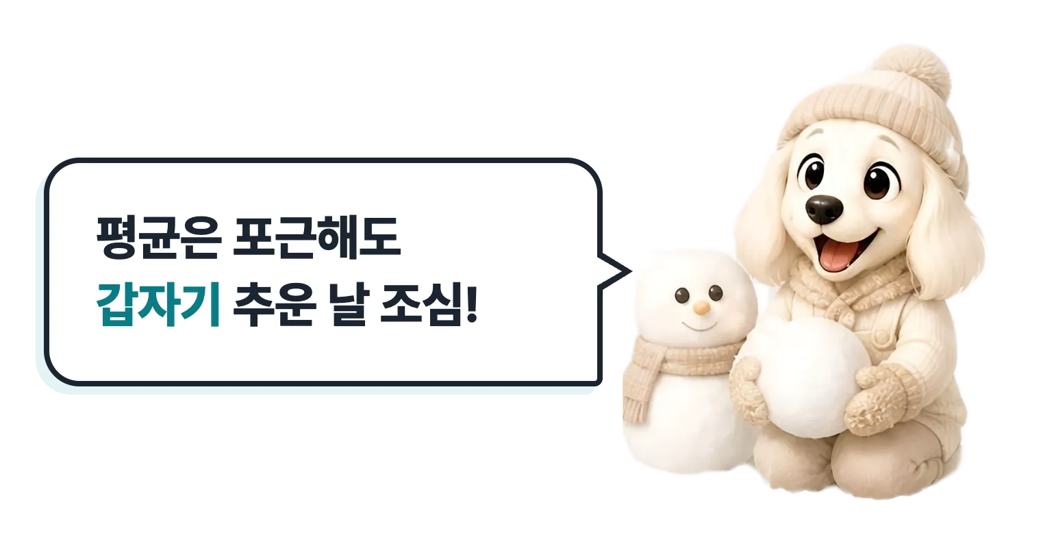 평균은 포근해도 갑자기 추운 날 조심, 눈 속의 닥스훈트 캐릭터