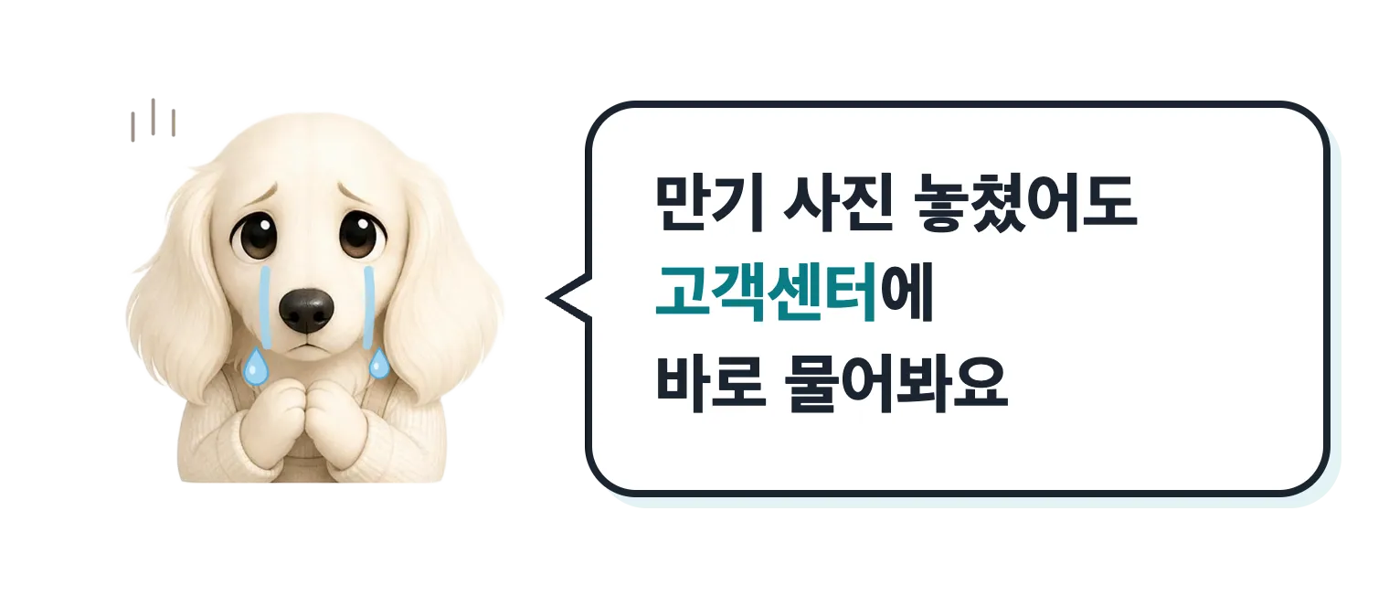 눈물 흘리는 닥스훈트 캐릭터: 만기 사진 놓쳤어도 고객센터에 바로 물어봐요