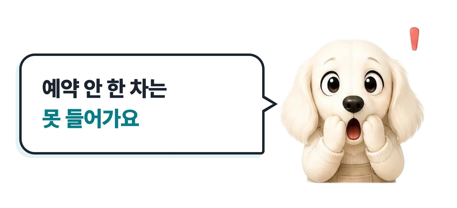 놀란 설기: 예약 안 한 차는 못 들어가요