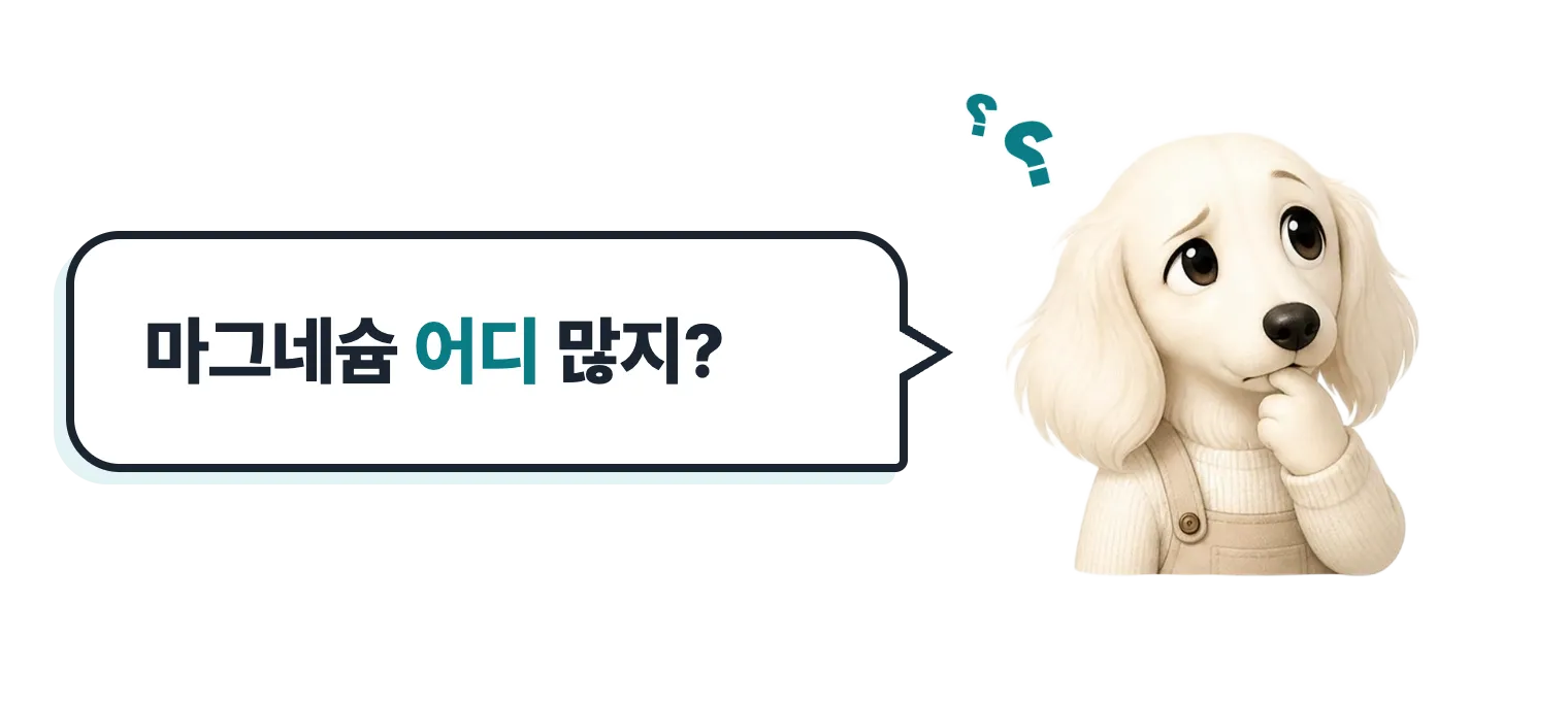 턱을 괴고 고민하는 닥스훈트 캐릭터: 마그네슘 어디 많지?