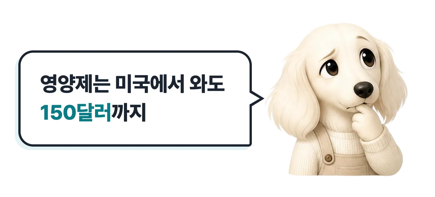 고민하는 닥스훈트 캐릭터: 영양제는 미국에서 와도 150달러까지