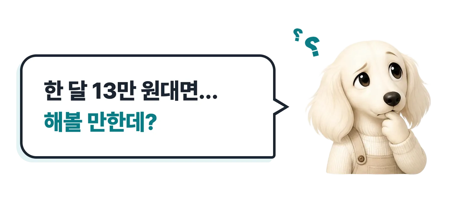 고민하는 닥스훈트 캐릭터: 한 달 13만 원대면… 해볼 만한데?