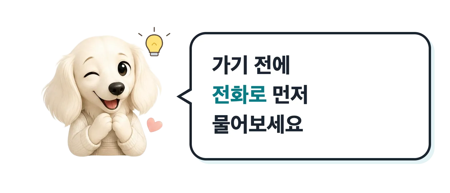 윙크하는 닥스훈트 캐릭터: 가기 전에 전화로 먼저 물어보세요