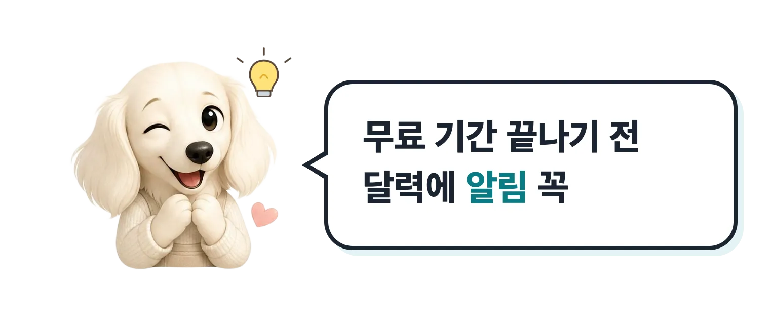 윙크하는 닥스훈트 캐릭터: 무료 기간 끝나기 전에 달력에 알림 꼭