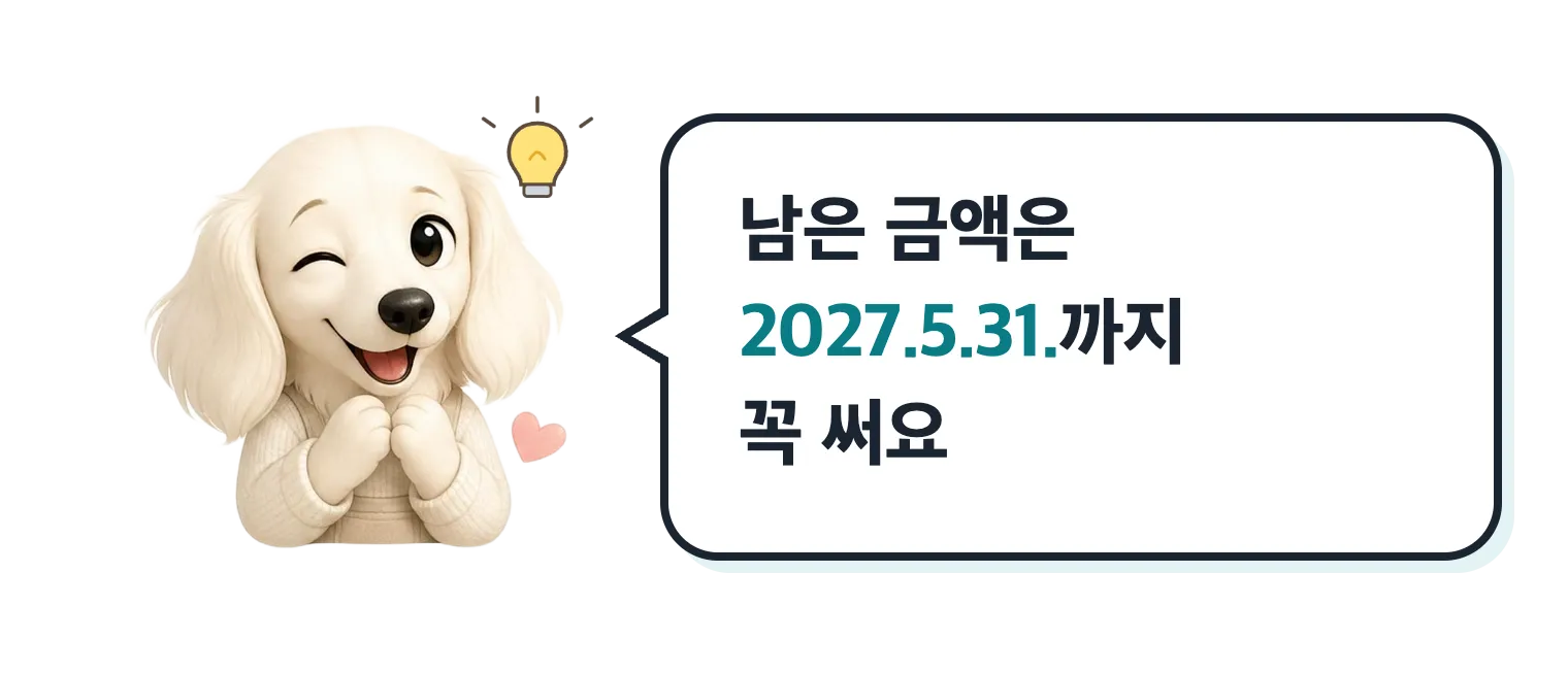 윙크하는 닥스훈트 캐릭터: 남은 금액은 2027년 5월 31일까지 꼭 써요
