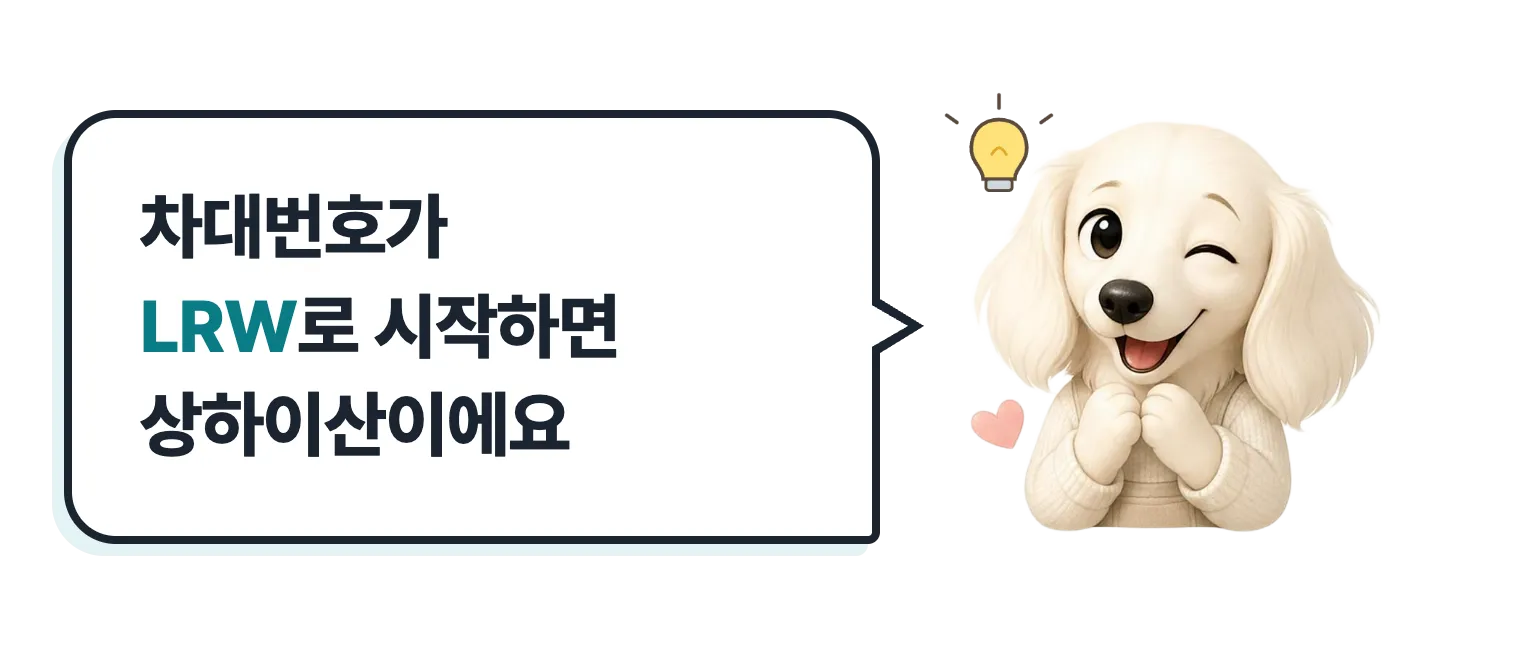 윙크하는 닥스훈트 캐릭터: 차대번호가 LRW로 시작하면 상하이산이에요