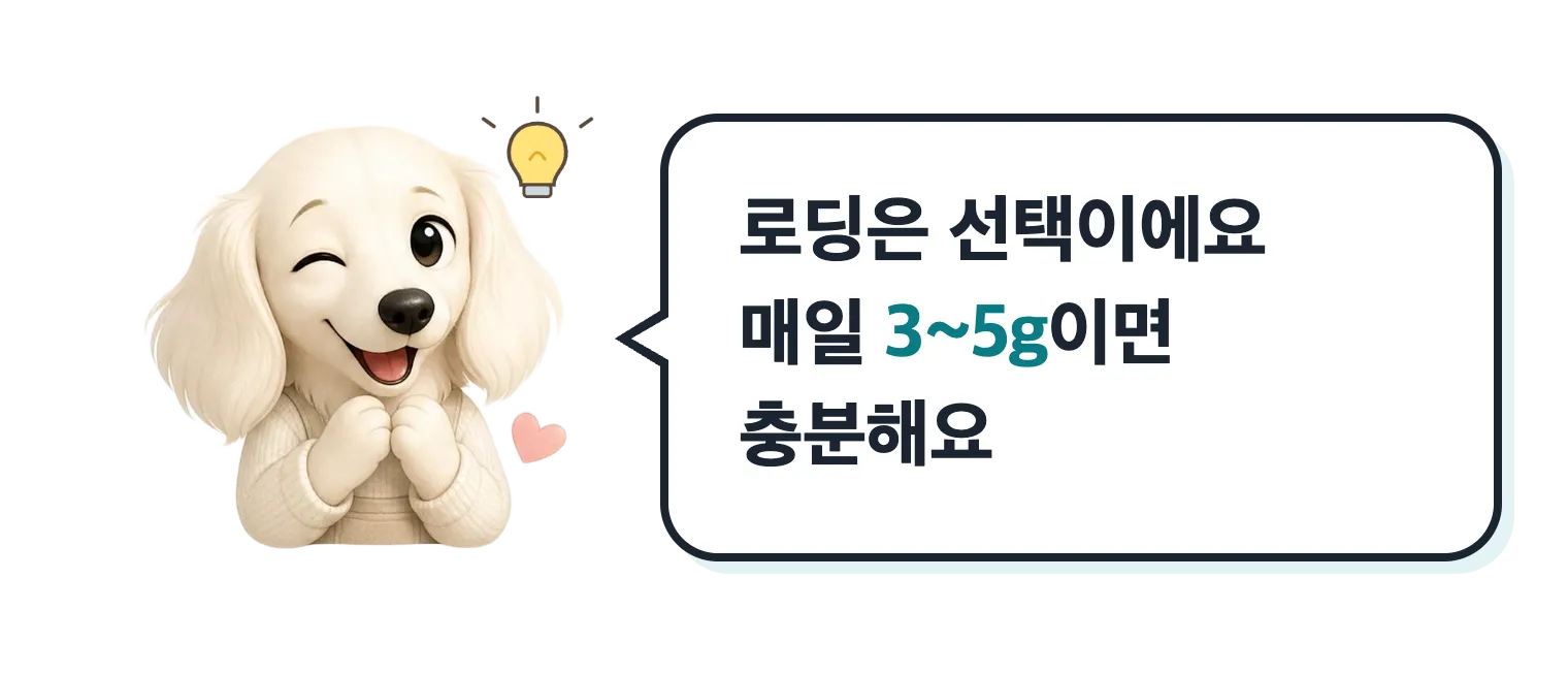 윙크하는 닥스훈트 캐릭터: 로딩은 선택이에요, 매일 3~5g이면 충분해요