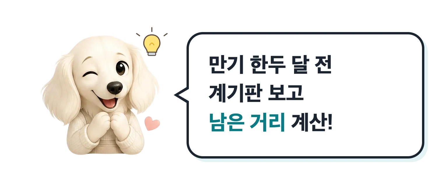 윙크하는 닥스훈트 캐릭터: 만기 한두 달 전 계기판 보고 남은 거리 계산