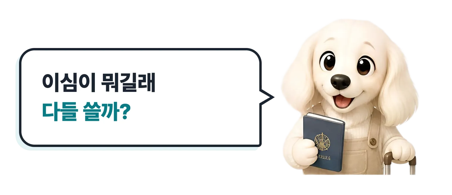 여권과 캐리어를 든 닥스훈트 캐릭터: 이심이 뭐길래 다들 쓸까?