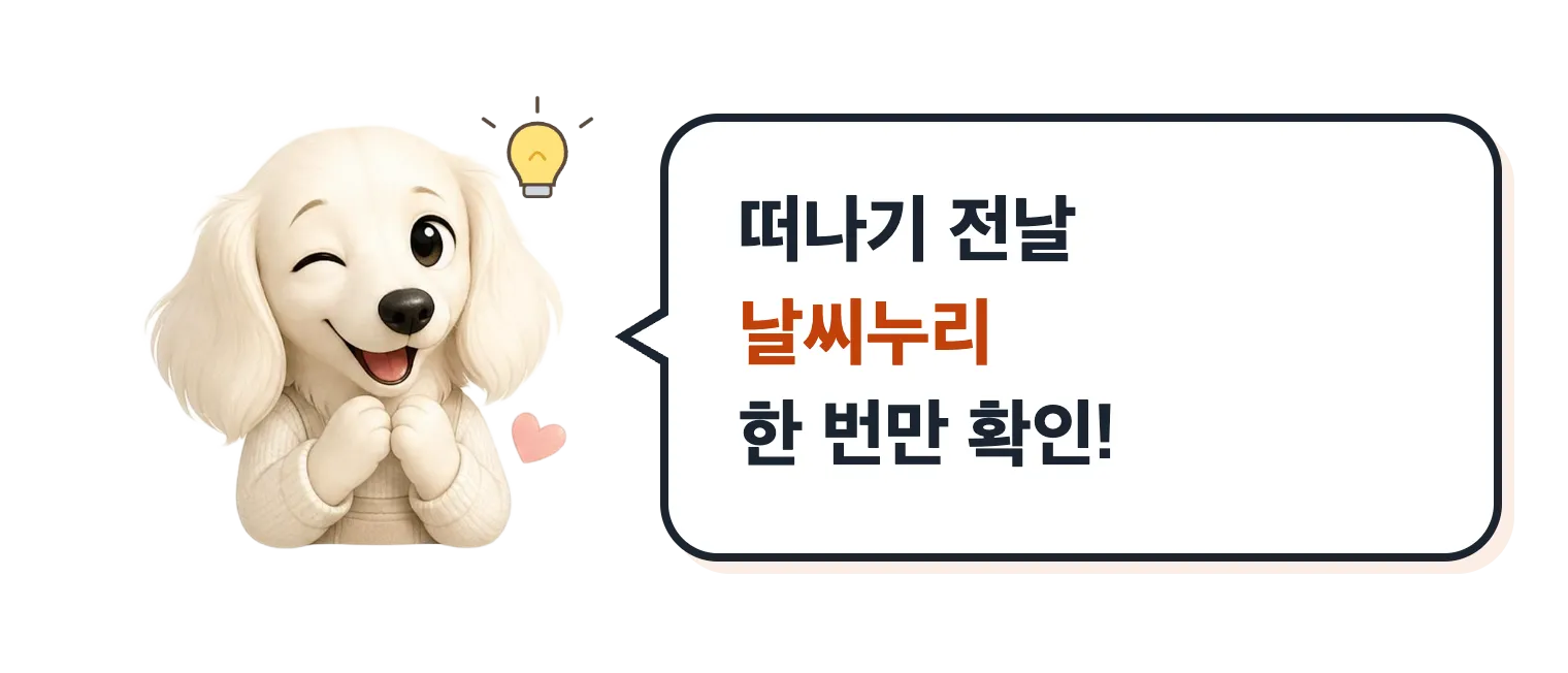 윙크하는 닥스훈트 캐릭터: 떠나기 전날 날씨누리 한 번만 확인해요