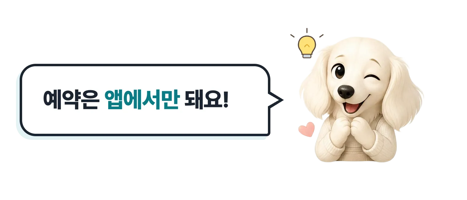 윙크하는 닥스훈트 캐릭터: 예약은 앱에서만 돼요!
